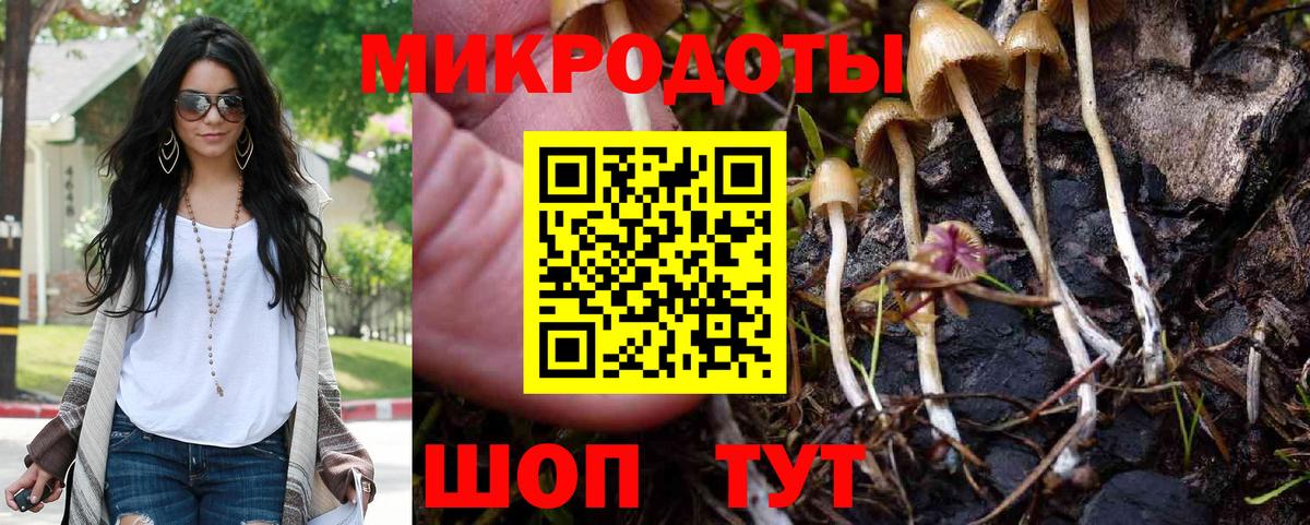 Феодосия  Галлюциногенные грибы Psilocybe  Вход с VPN 
